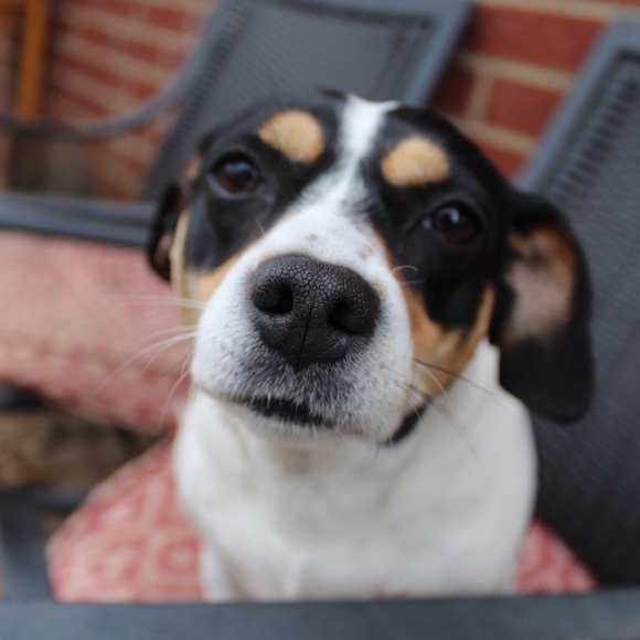 Meet your Posher, Brent - Picture 1 of 1